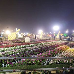 Flower Show 2020