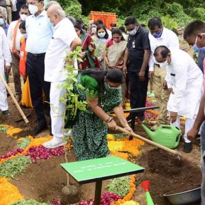 Tree Plantation for the extension of Biodiversity Park