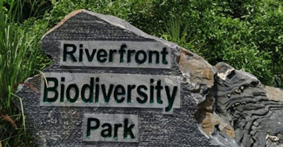 bio-divesity-park